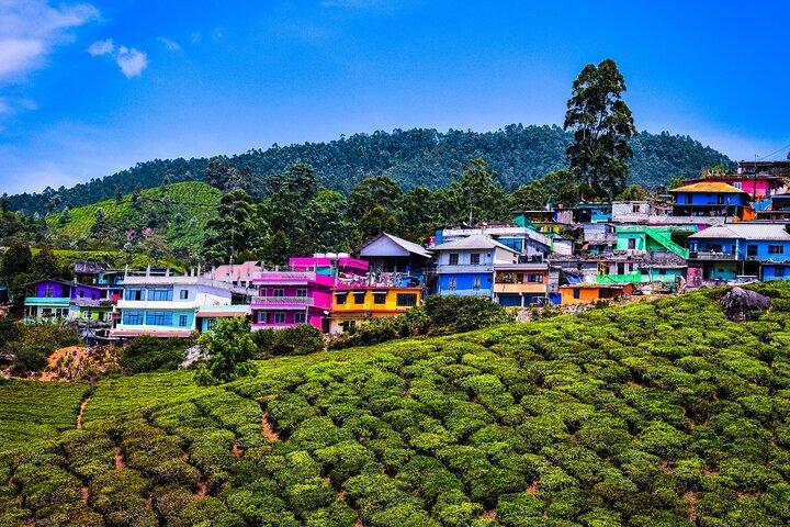 Groene Magische Dagtocht naar Munnar