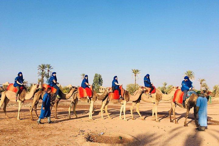 Agafay desert, quad , camel ride, luxury dinner
