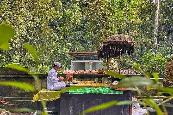 Ubud Best Private Tour: Half-Day Custom Highlights