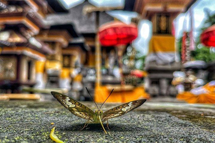 Ubud Best Private Tour: Half-Day Custom Highlights