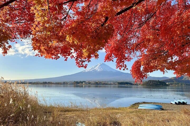 Private Tour to Mt Fuji, Lake Kawaguchi with Limousine and Driver