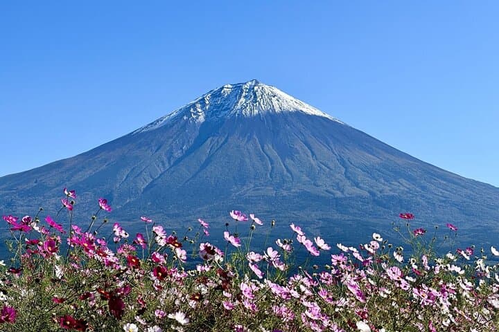 Private Tour to Mt Fuji, Lake Kawaguchi with Limousine and Driver