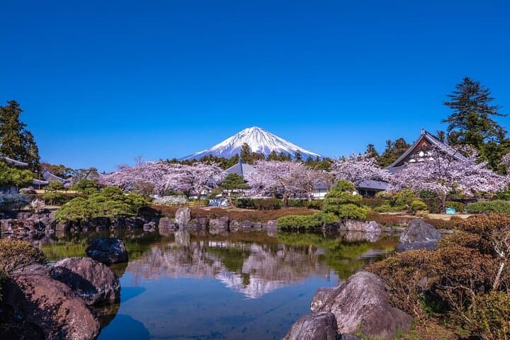 Private Tour to Mt Fuji, Lake Kawaguchi with Limousine and Driver