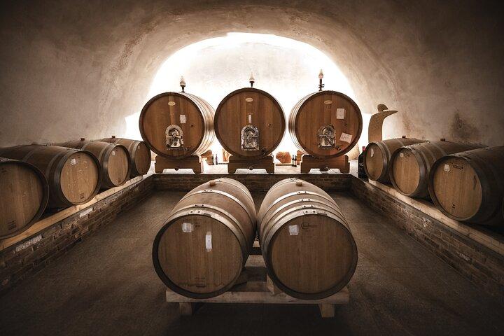 Tour e degustação de vinhos no Monferrato - Premium