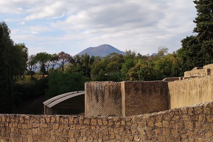 Pompeii: Tour with Archaeologist Guide & Skip-the-Line Entry
