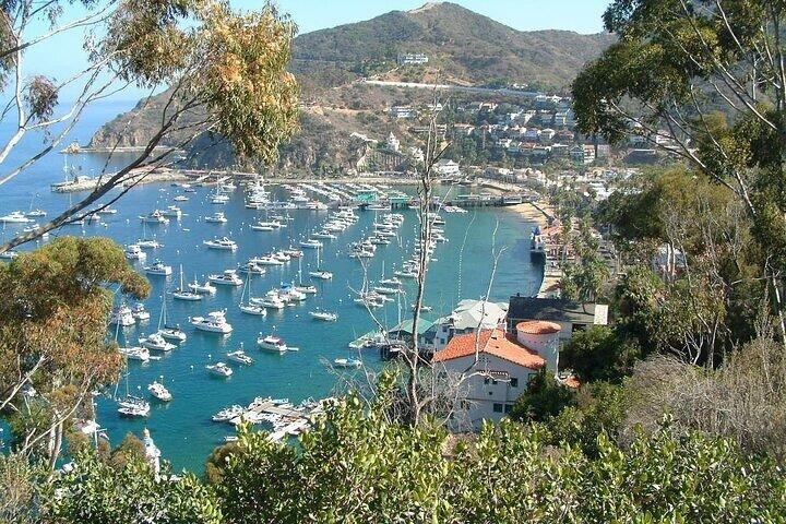 Catalina Island 2 - Visite d'aventure à l'intérieur d'une heure