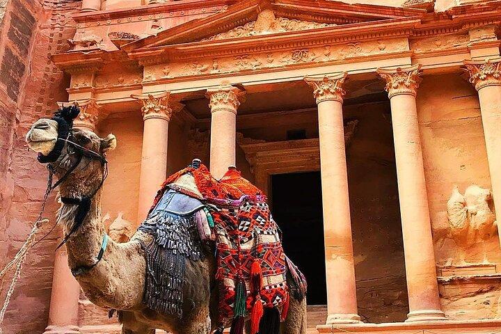 Excursión de día completo a Petra y Wadi Rum desde Ammán
