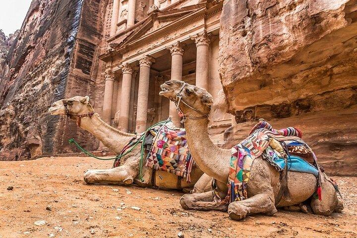3 Day Tour from Amman Petra Wadi Rum Dana Aqaba and Dead Sea