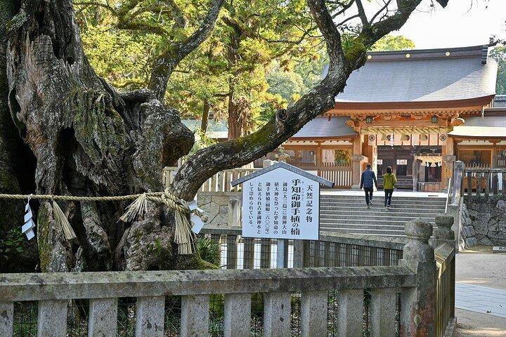 Tour privato in bici elettrica di 6 ore a Omishima