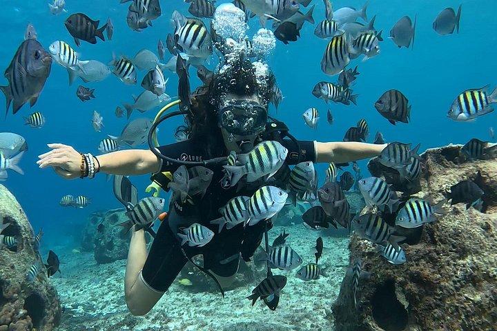 Try diving without previous experience from shore