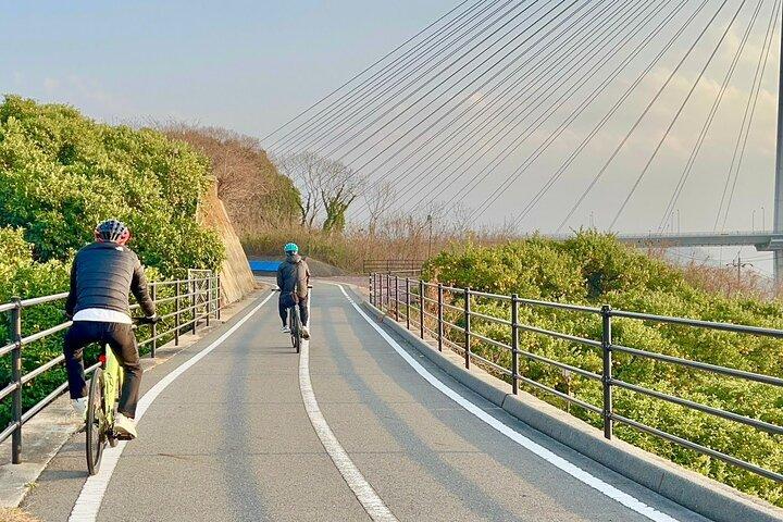 Tour privato in bici elettrica di 6 ore a Omishima