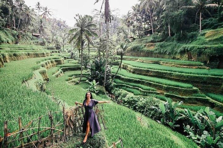 Tour privado: Jatiluwih Rice Terrace, Ulun danu y Banyu Mala Waterfall Tour