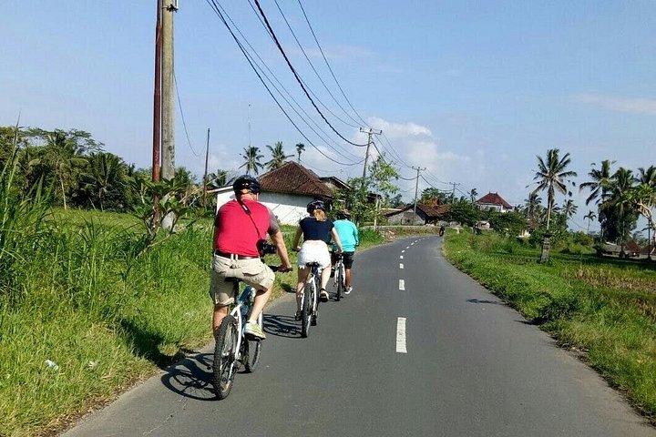バリ自然ダウンヒルサイクリングツアーと火山訪問