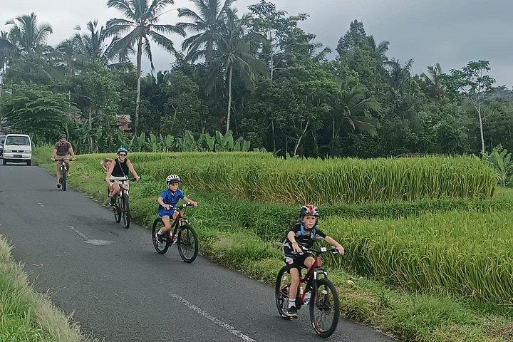 Ubud Wunderschöne Halbtages Downhill-Radtour mit Mittagessen