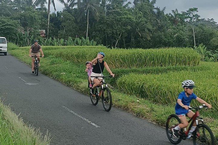 Ubud Wunderschöne Halbtages Downhill-Radtour mit Mittagessen