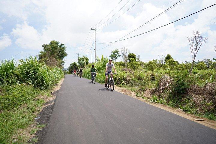 Udforsk Ubud med elektrisk cykel