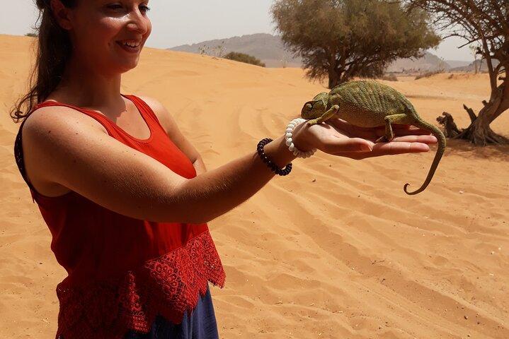 Deserto 2 giorni da Agadir con 4x4 e pernottamento in tenda