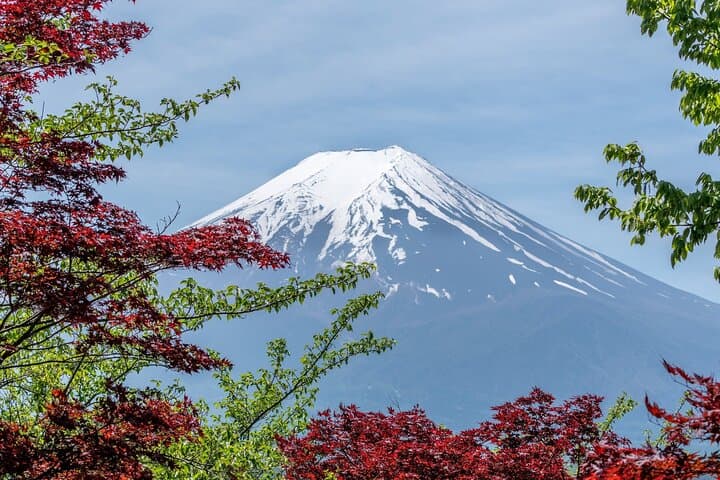 Private Mount Fuji And Hakone Tour with English Guide