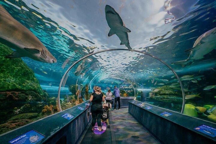 Excursão turística privada de dia inteiro em Toronto