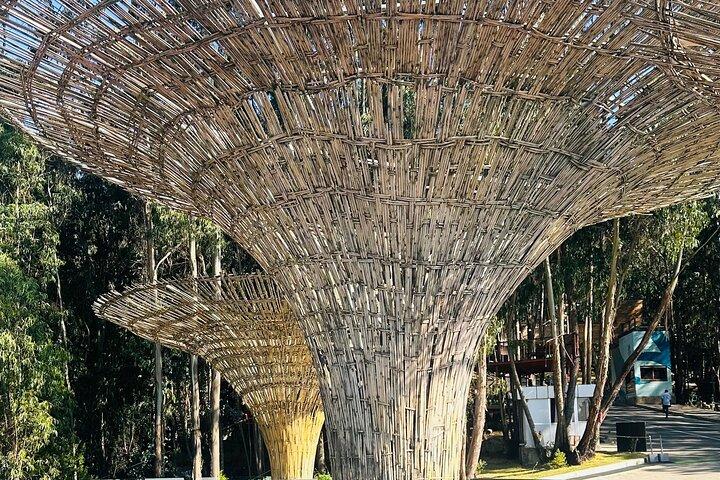 Addis Abeba Stadstours met gids