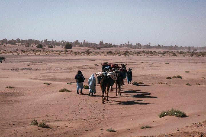 Morocco Desert Trek 4 Days: 2 days on foot in Morocco