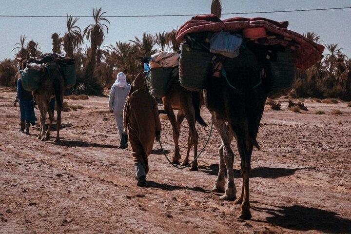 Morocco Desert Trek 4 Days: 2 days on foot in Morocco