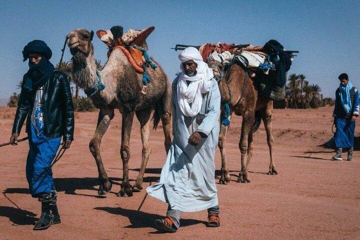 Morocco Desert Trek 4 Days: 2 days on foot in Morocco