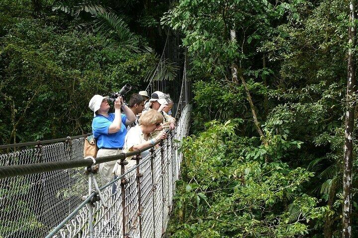 Los Puentes Colgantes Místicos
