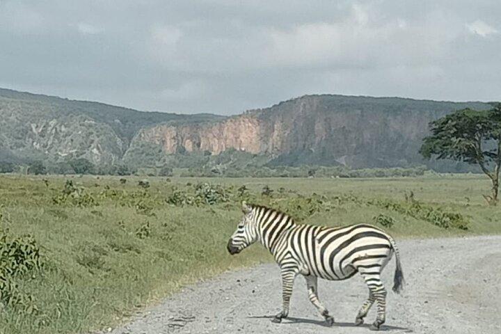 Excursion d'une journée au parc national Hell's Gate et au lac Naivasha