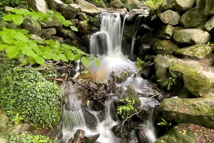 Wicklow und Glendalough Sightseeing private Chauffeur Tour