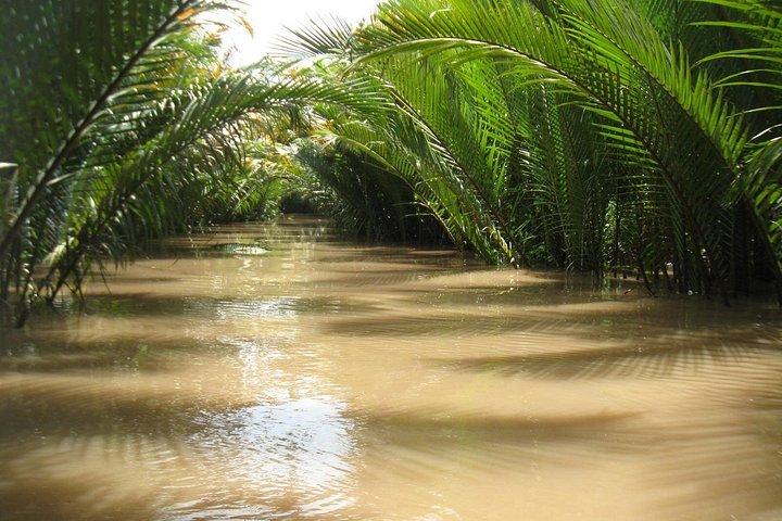 Cu Chi Tunnels and Coconut Island Private Tour