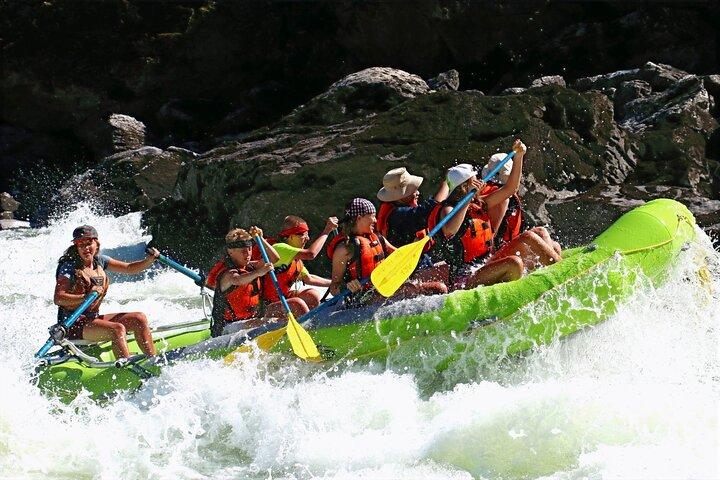 Rafting d'une demi-journée sur la rivière Salmon à Riggins, Idaho