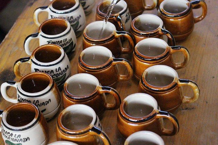 試飲と送迎付きのメデジンのコーヒー ツアー