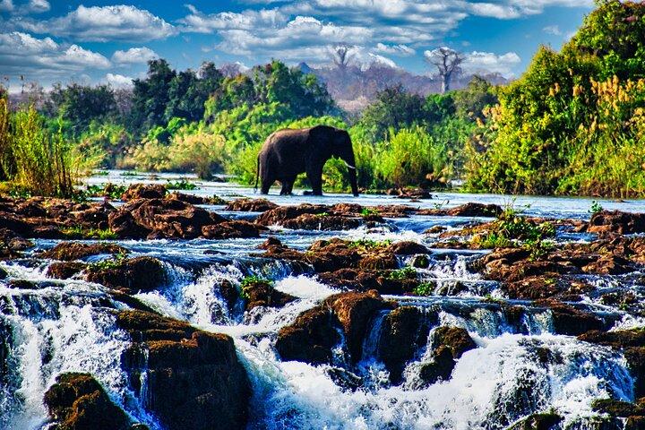 Esperienza vista sulle cascate + ponte, safari a piedi guidato di 2 ore