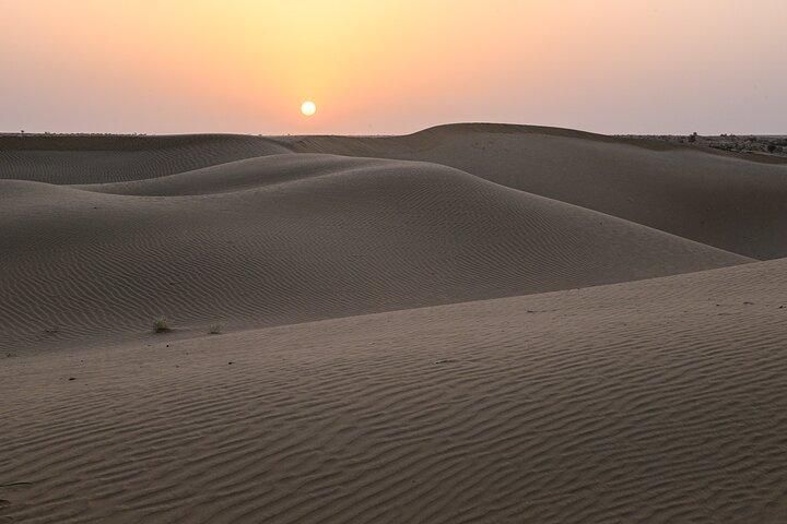 Half Day Sunset Camel Safari Jaisalmer