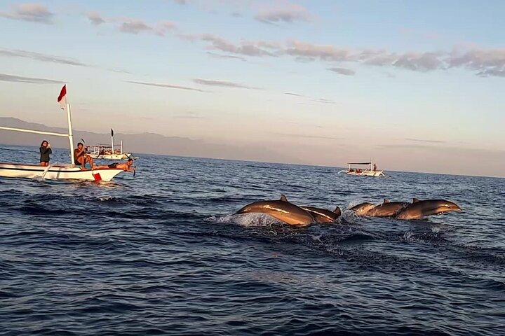 Lovina Sunrise Dolphin med mulighed for snorkling og vandfald