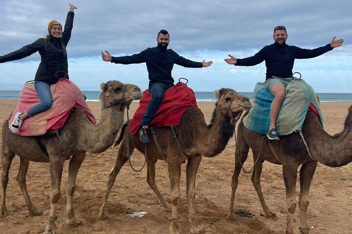 Escursione di un giorno in Marocco dalla Spagna: privata, di lusso e all-inclusive