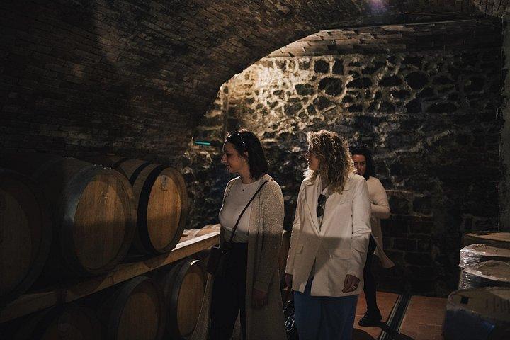 Vinoplevelse i Chianti Hills fra Firenze