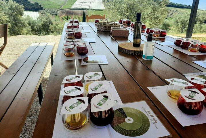 Visite privée à Nauplie avec dégustation d'huile d'olive à Corinthe