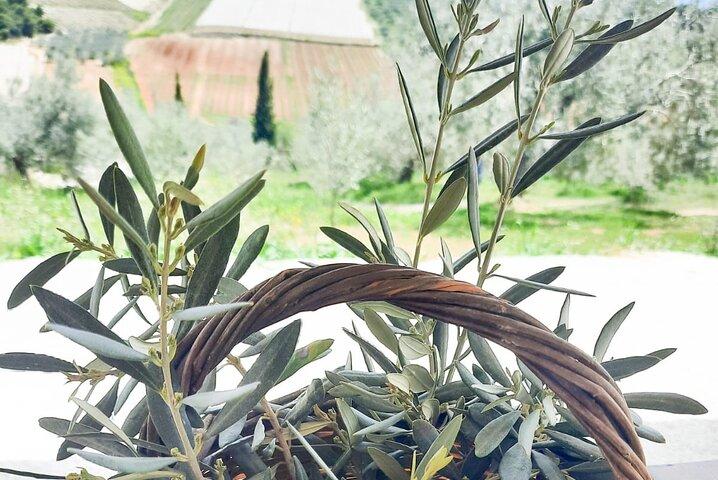 Visite privée à Nauplie avec dégustation d'huile d'olive à Corinthe