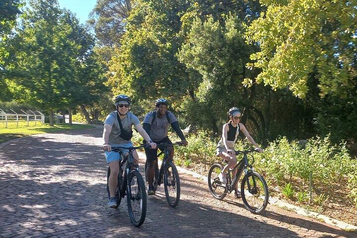 Visite partagée de Franschhoek en vélo électrique et en vin