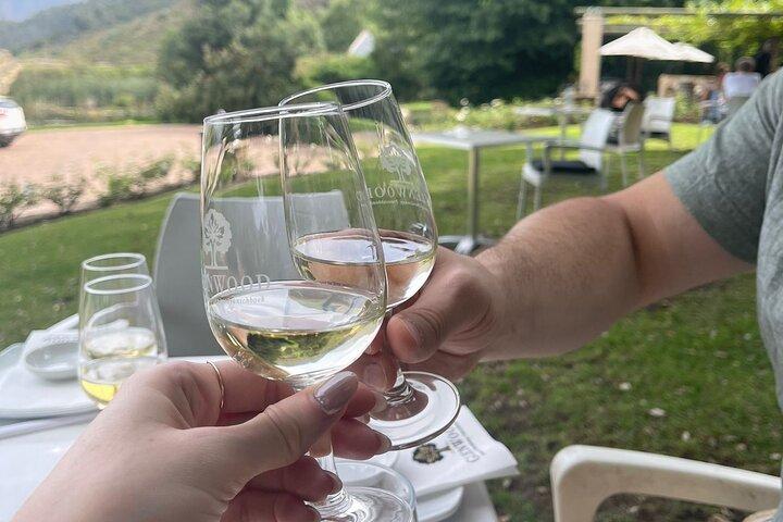 Visite partagée de Franschhoek en vélo électrique et en vin