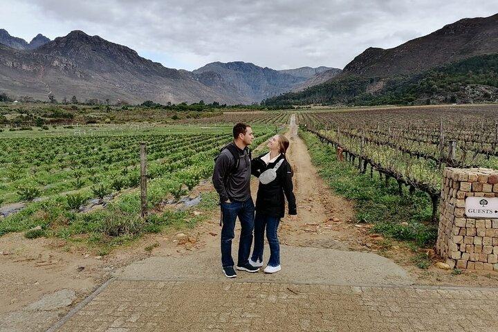 Visite partagée de Franschhoek en vélo électrique et en vin