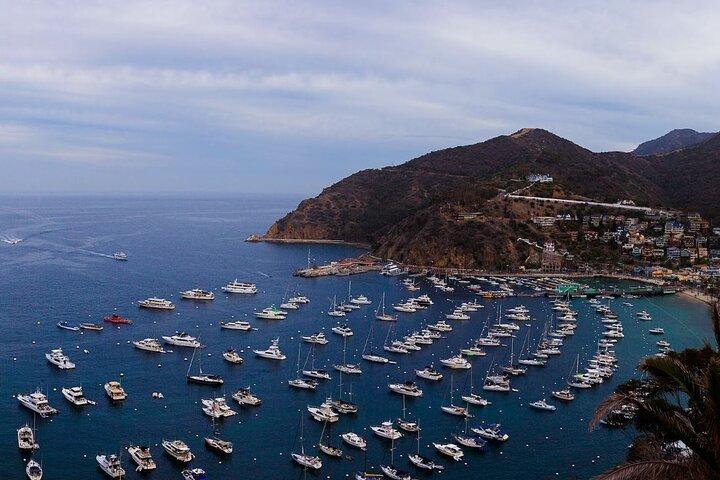 Balsa da Ilha Catalina de Avalon para Newport Beach