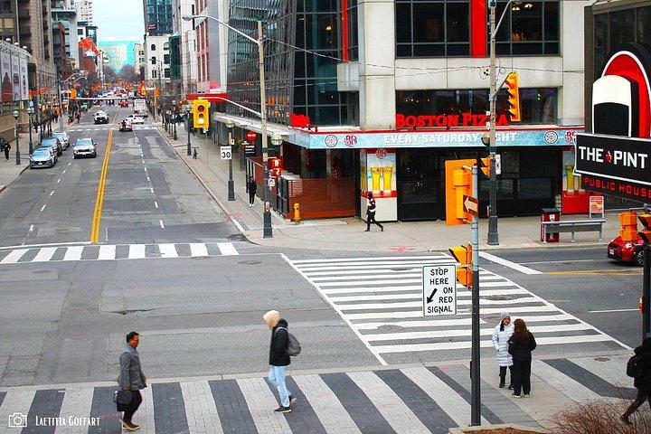 Downtown Toronto Layover Private Tour