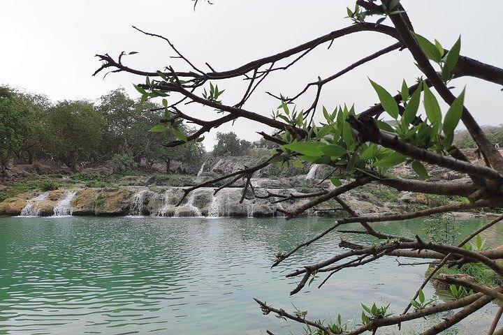 Øst Salalah Mountain Safari - Fulddagstur