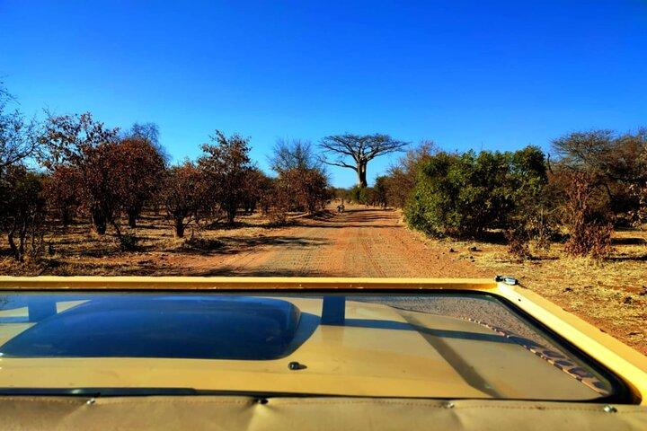 Unique Safari Game Drive sin Zambezi National Park *D-F-ES