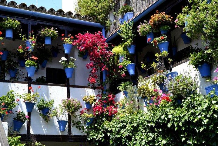 Córdoba Day Trip: A Journey Through History from Málaga