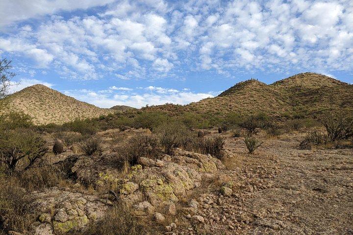 Caminhada guiada: Deserto Copper Mile