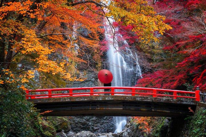 Osaka Private anpassbare Ganztagestour